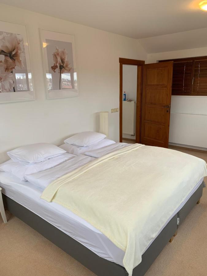 Residence Top Floor Apartment Praag Buitenkant foto